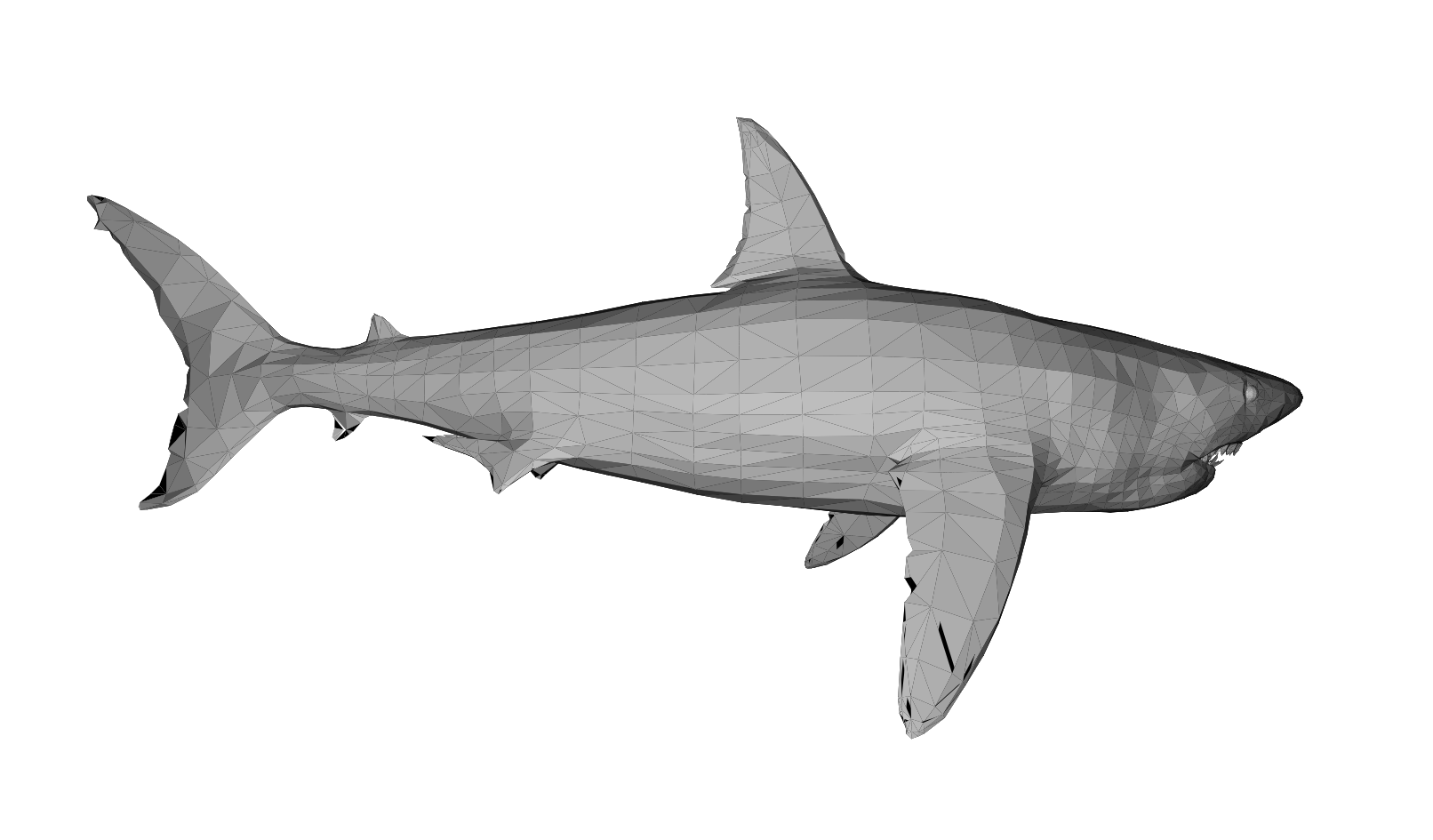 3-D rendered shark